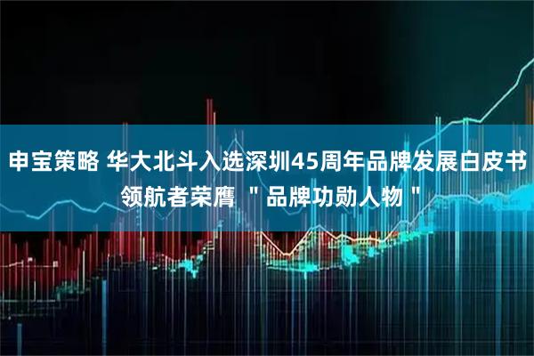 申宝策略 华大北斗入选深圳45周年品牌发展白皮书 领航者荣膺 "品牌功勋人物"