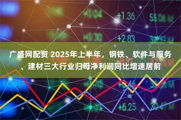 广盛网配资 2025年上半年，钢铁、软件与服务、建材三大行业归母净利润同比增速居前