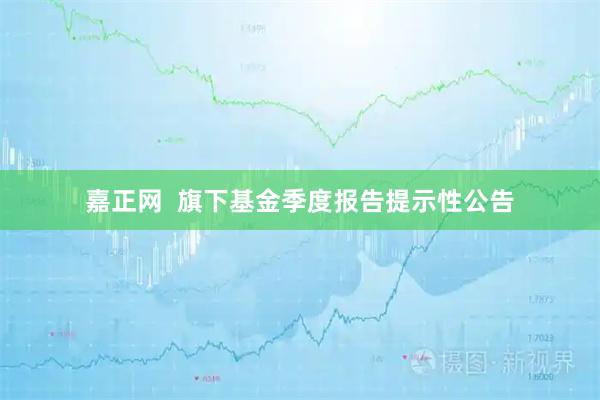 嘉正网  旗下基金季度报告提示性公告
